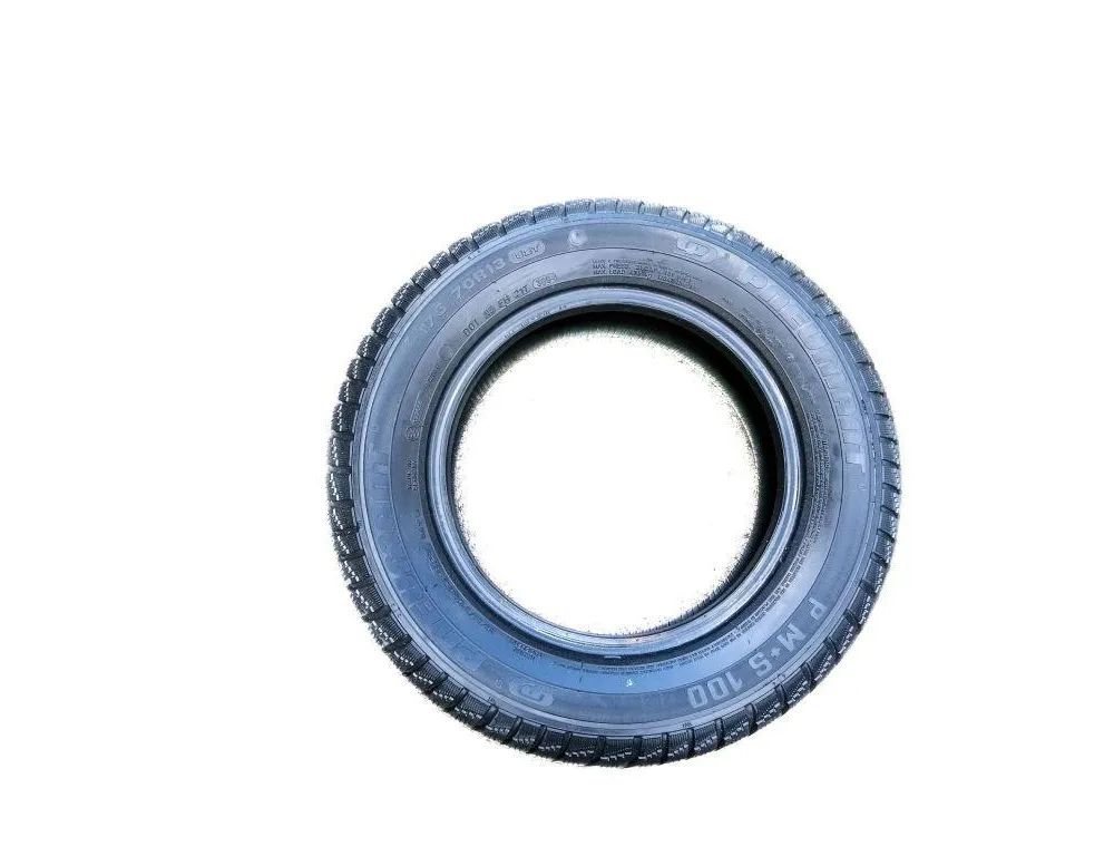 TOYOTA Prius 2 generation (XW20) (2003-2011) Шина 027696,17570R13 32876863