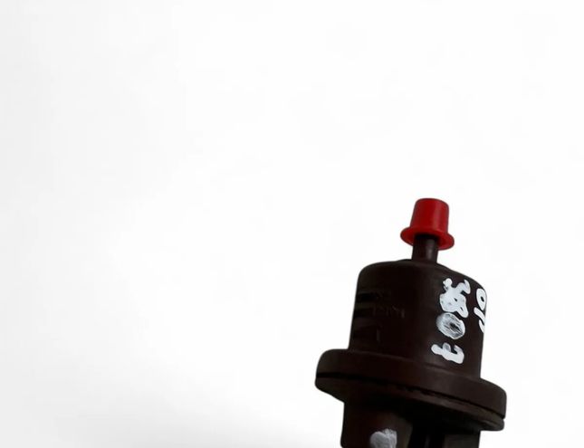 CITROËN Xsara 1 generation (1997-2004) Вакуумный клапан 2580008B 32048026