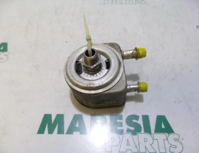 PEUGEOT 307 1 generation (2001-2008) Масляный радиатор 9637319180,1103N1 26988843