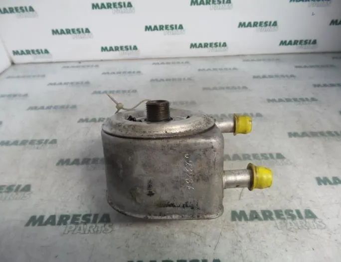 PEUGEOT 607 1 generation (2000-2008) Масляный радиатор 1103N1 26989644