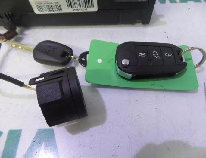 PEUGEOT 308 T9 (2013-2021) Блок керування двигуном ECU 9666681180,9804127280,S180123008C,1610808380,1610807680 27657618