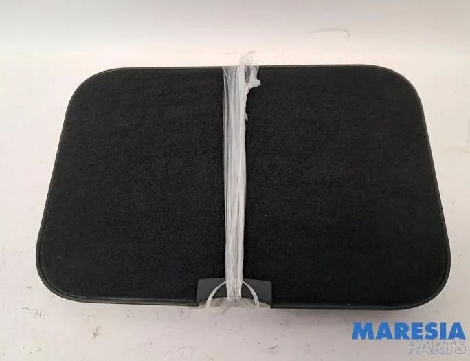 RENAULT Scenic 3 generation (2009-2015) Другие внутренние детали 749850001R,300148172,749853418R 27860612