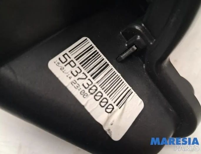 RENAULT Captur 1 generation (2013-2019) Другие блоки управления 272101005R,5P3730000 28084887