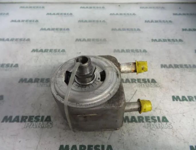 CITROËN Xantia X2 (1998-2001) Масляный радиатор 9637319180,1103N1 33026639