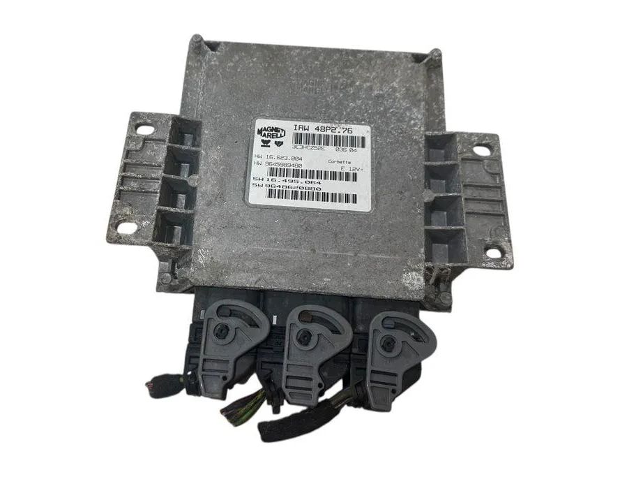 PEUGEOT 2008 2 generation (2019-2023) Блок управления двигателем 16495064,9645989480,IAW48P276,9648620880 32931004