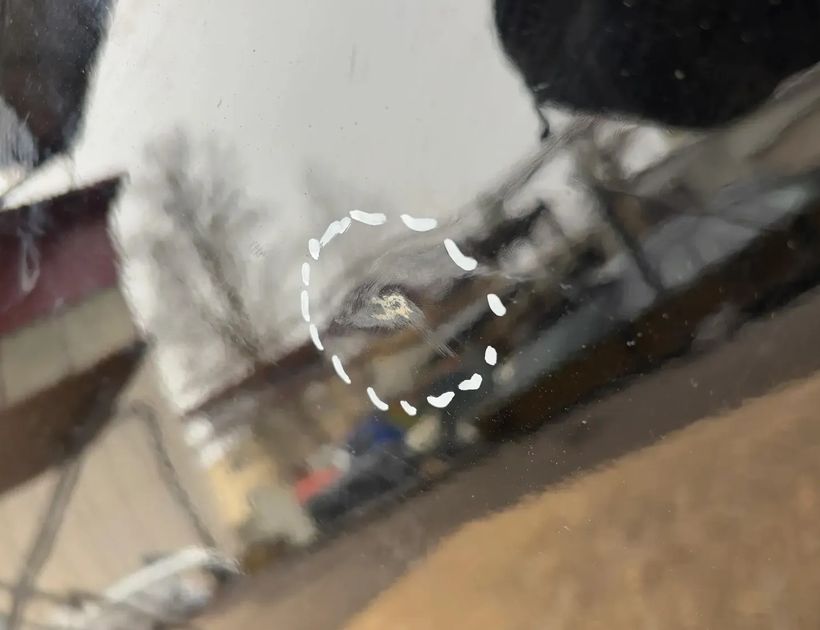 MERCEDES-BENZ C-Class W205/S205/C205 (2014-2023) Передні ліві двері A2057220400 29647224