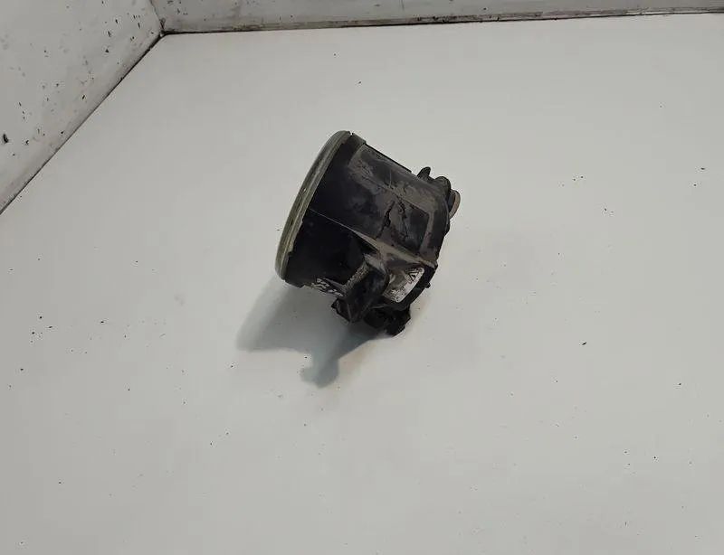 RENAULT Scenic 4 generation (2017-2023) Противотуманка бампера передняя правая 8200002470 30799494