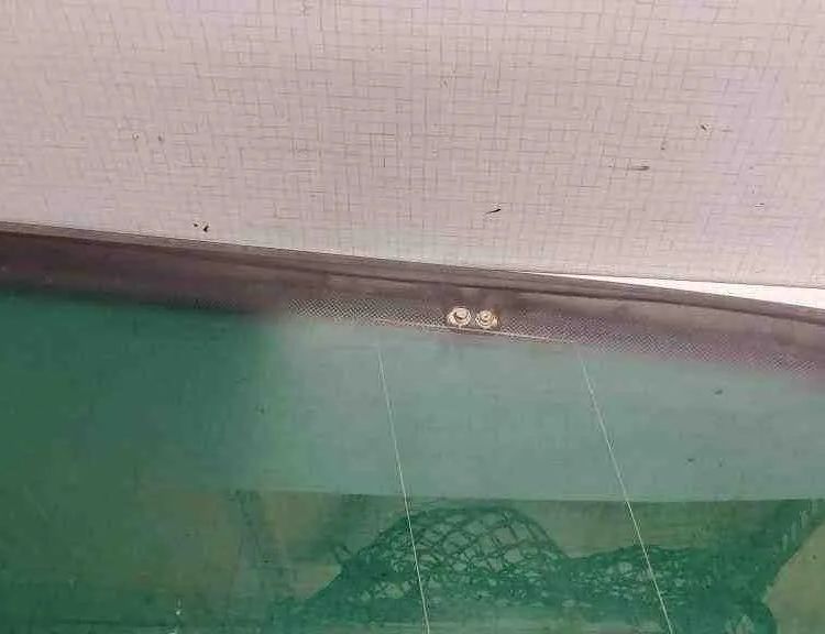 SEAT Alhambra 1 generation (1996-2010) Фортачка задняя правая E2143R000002,249AS3M104 32556401