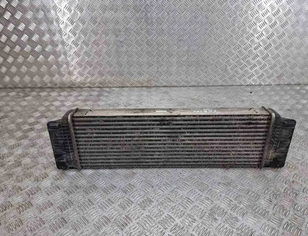 VOLKSWAGEN Crafter 1 generation (2006-2016) Радіатор міжкулерного охолодження A9065010201,2e0145804a 32443136