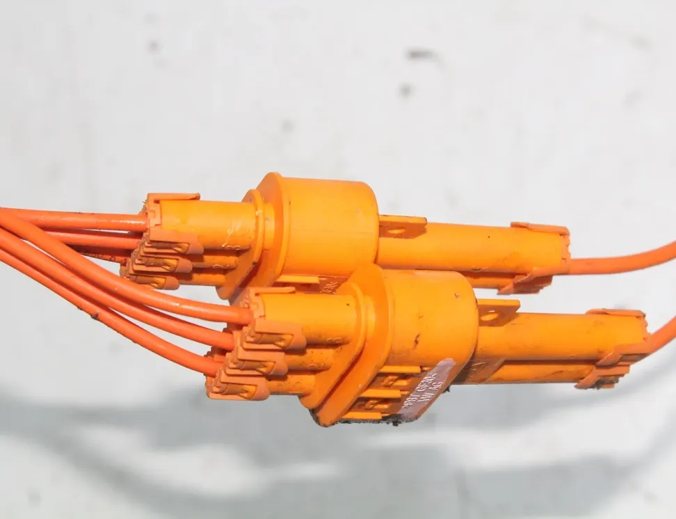 VOLKSWAGEN ID.4 1 generation (2020-2023) Інша проводка лом 1EA971398CB 33473576