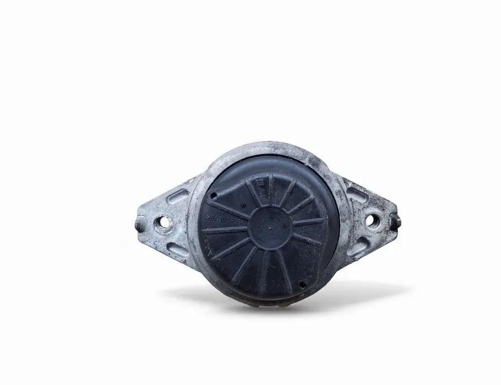 MERCEDES-BENZ GL-Class X166 (2012-2015) Передняя подушка двигателя A1662406117 33465354