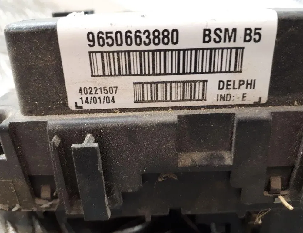 PEUGEOT 307 1 generation (2001-2008) Блок запобіжників 9650663880 31592413