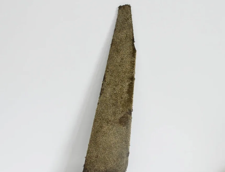 AUDI Q7 4L (2005-2015) Інші частини інтер'єру 4L0881472 2946102