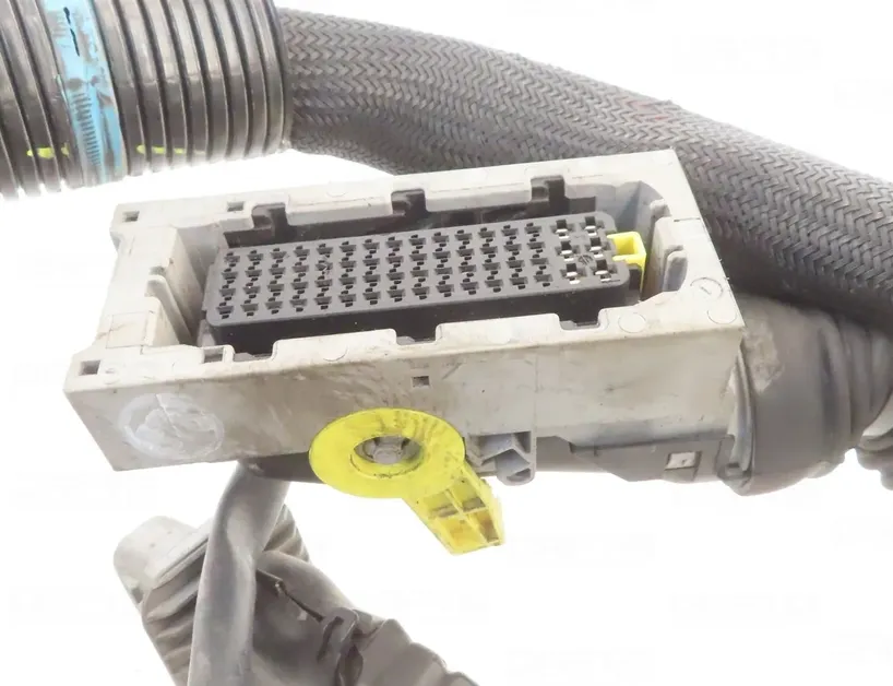 DAF XF (2012-present) Жгут проводов двигателя 1926568 33478261