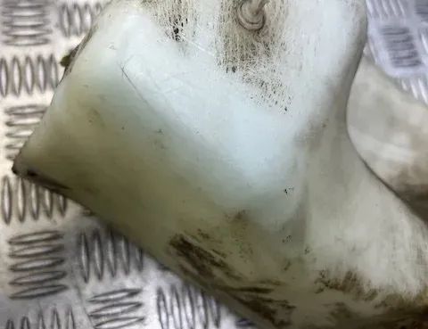 MAZDA 3 BK (2003-2009) Бачок мийки скла 701955453 29179443