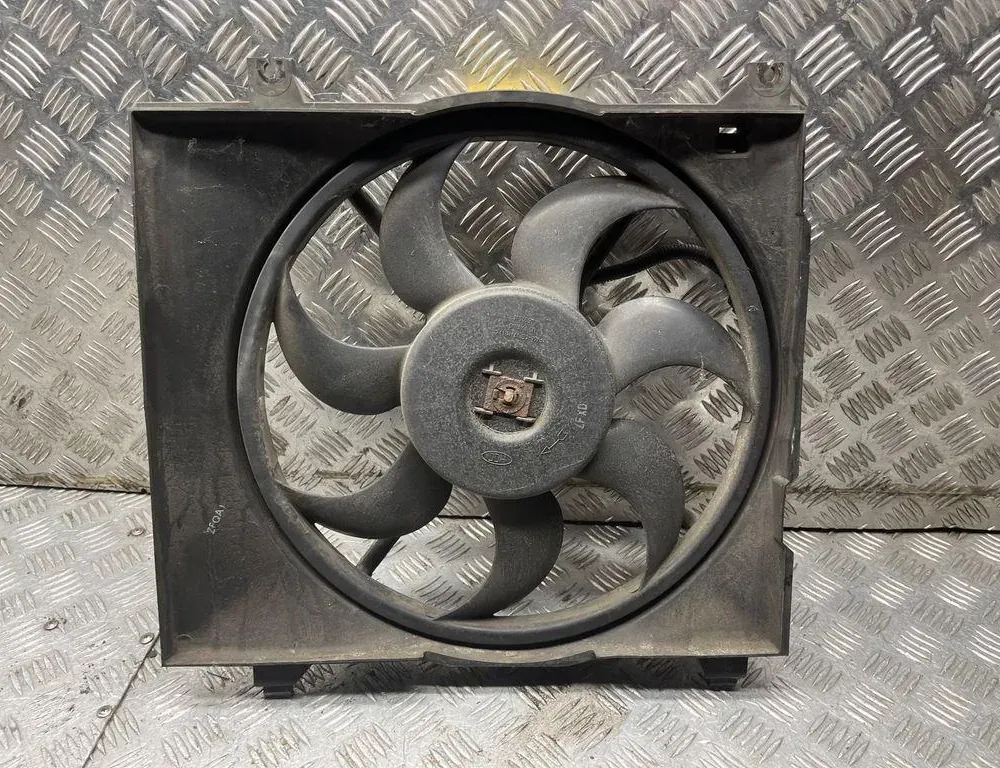 HYUNDAI Santa Fe SM (2000-2013) Радіатор кулера двигуна 4569631 33819472