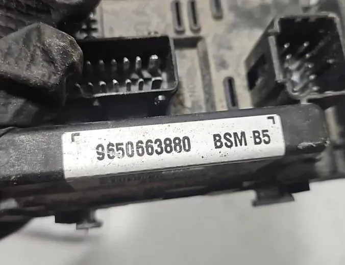 PEUGEOT 406 1 generation (1995-2004) Блок запобіжників 31641780,9650663880,BSMB5 34696749