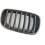 BMW X6 E71/E72 (2008-2012) Решетка радиатора 7157688,7171396 31924818