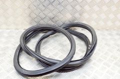 VOLKSWAGEN ID.3 1 generation (2019-2023) Резиновая прокладка передней правой двери 10A867911B,10A867911 13731925