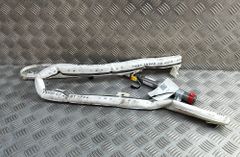 AUDI A6 C7/4G (2010-2020) Подушка безопасности потолка правая 4G9880742C 31978339