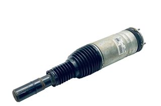 LAND ROVER Range Rover 4 generation (2012-2022) Передний левый пневматический амортизатор LR087092 30689890