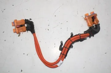 VOLKSWAGEN ID.4 1 generation (2020-2023) Інша проводка лом 1EA971015BD 33473573