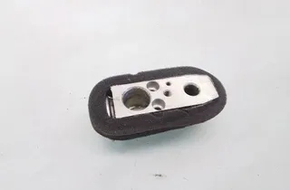 NISSAN Almera Tino 1 generation  (2000-2006) Клапан расширения кондиционера воздуха 2K330 35096637