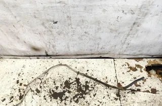 VOLVO V70 2 generation (2000-2008) Шланг гидроусилителя руля 30636302 34649529